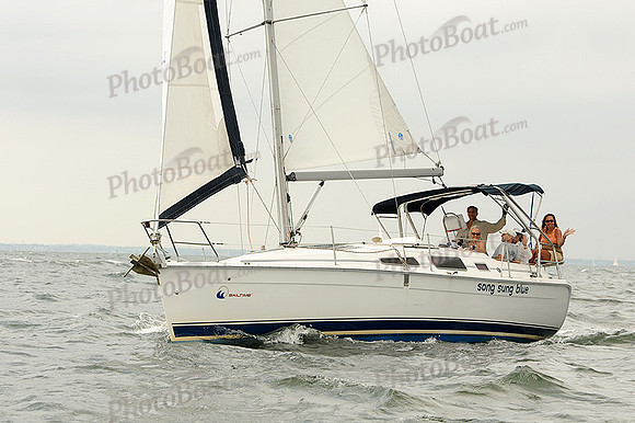 2012 Cape Charles Cup A 559