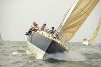 2015 Vineyard Race A 227