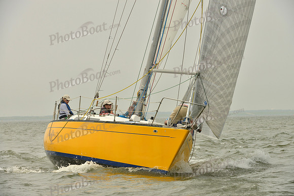 2016 Southern Bay Race Week A_0525