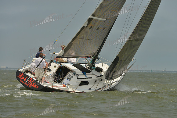 2016 Southern Bay Race Week A_1702