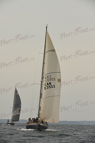 2016 Chester Race Week C_0785