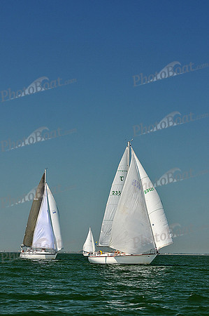 2013 Southern Bay Race Week C 1104