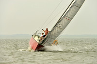 2016 Southern Bay Race Week A_0454
