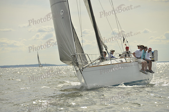 2016 Vineyard Race A_1449