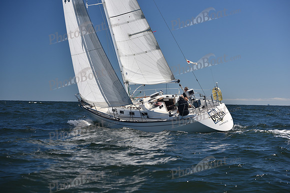 2022 Vineyard Race A_0253