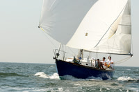 2012 Vineyard Race A 351