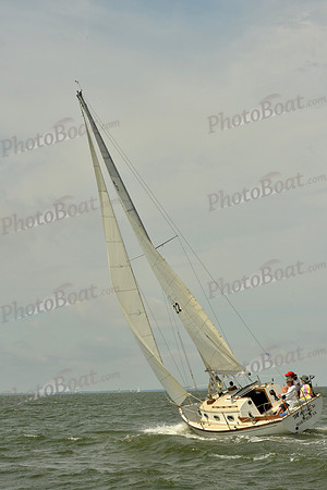 2016 Southern Bay Race Week G_0307