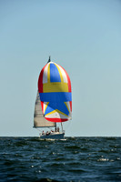 2015 Vineyard Race C 308