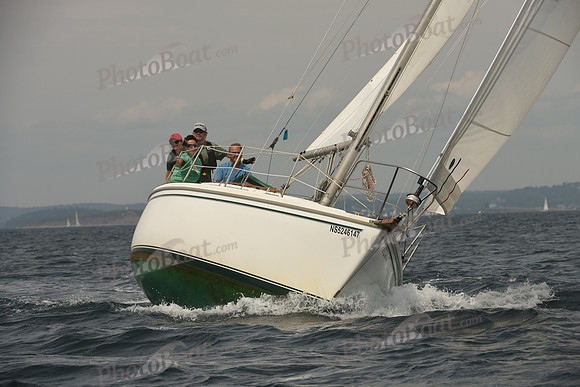 2016 Chester Race Week C_0756