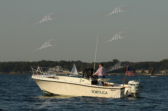 2011 HPDO A 2728