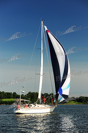2015 Gov Cup D 271