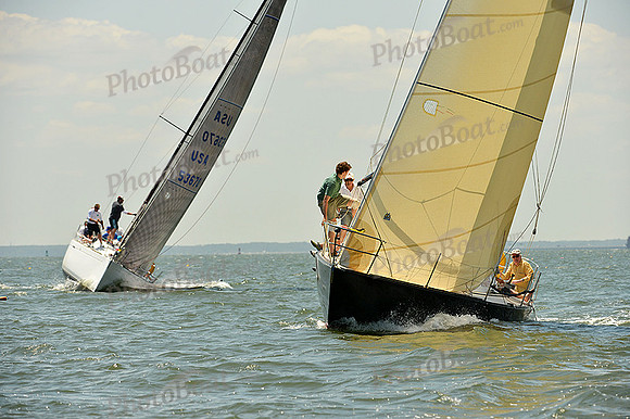 2015 Southern Bay Race Week A 499