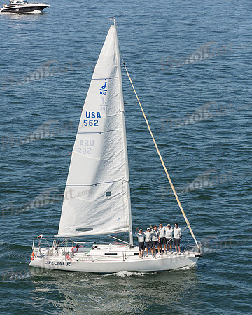 DBP_1353