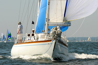 2012 Vineyard Race A 305