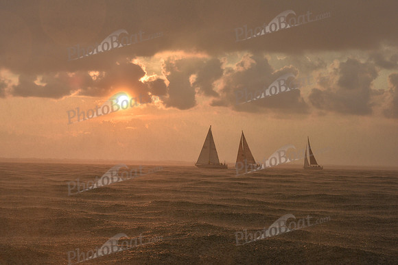2019 Gov Cup A_3325