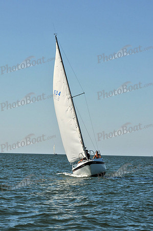 2010 Leukemia Cup 467