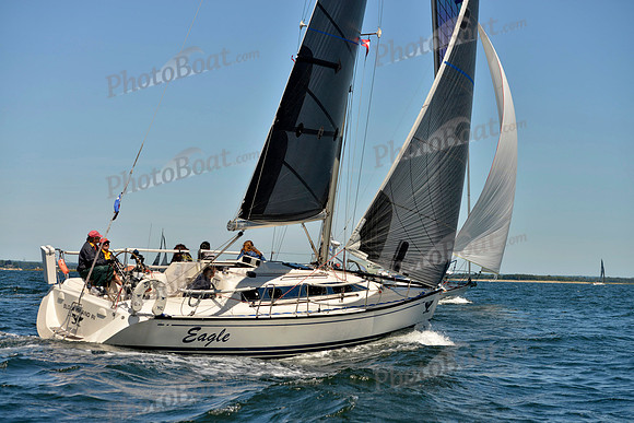 2017 Vineyard Race A_0750