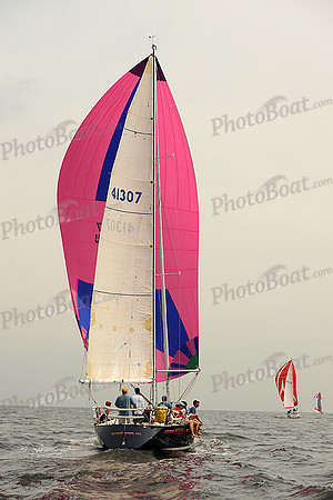 2013 Vineyard Race A 376