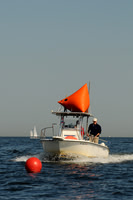 2011 HPDO A 2551