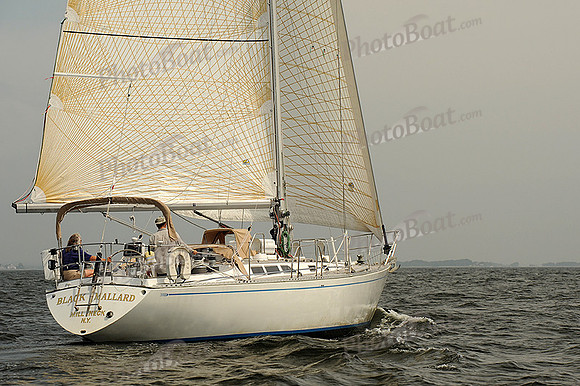 2013 Vineyard Race A 407