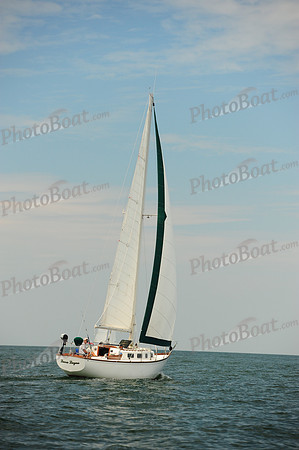 2014 Cape Charles Cup B 539