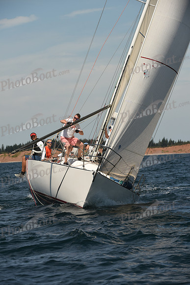 2016 Chester Race Week A_0273