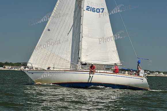 2013 Southern Bay Race Week C 1241