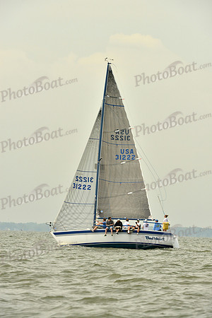 2016 Southern Bay Race Week A_0260
