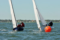 2012 Thistle Midwinters A 343