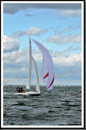 proof_2010_EScows_B 1102