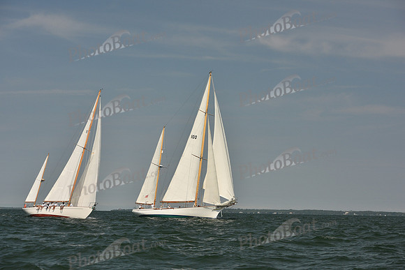 2018 Vineyard Cup A_0293
