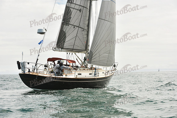 2018 Newport Bermuda Race A_0263