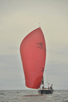 2016 Vineyard Race B_0569