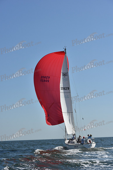 2019 Vineyard Race A_0319