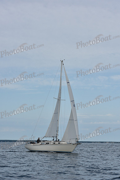 2019 Around Marthas Vineyard A_0153
