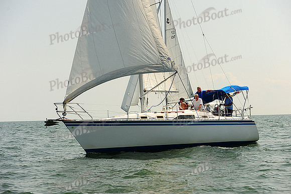 2014 Cape Charles Cup A 1356