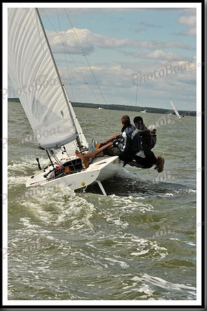 proof_2010_EScows_B 806
