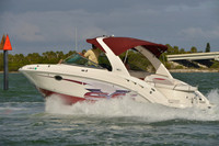 2019 Feb 10 Tampa Bay B_0480