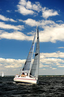 2014 Vineyard Race A 503