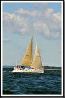 proof_2010_Vineyard_Race_1029