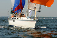 2012 Vineyard Race A 270