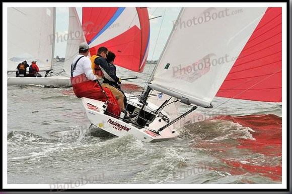 proof_2010_EScows_A 909