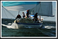 proof_2010_Vineyard_Race_0552