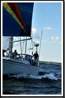 proof_2010_Vineyard_Race_0240