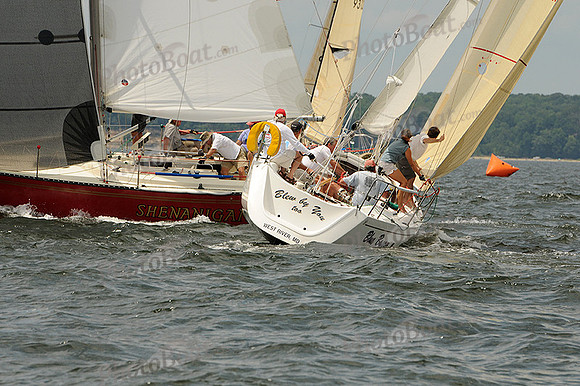 2012 Screwpile A 1955