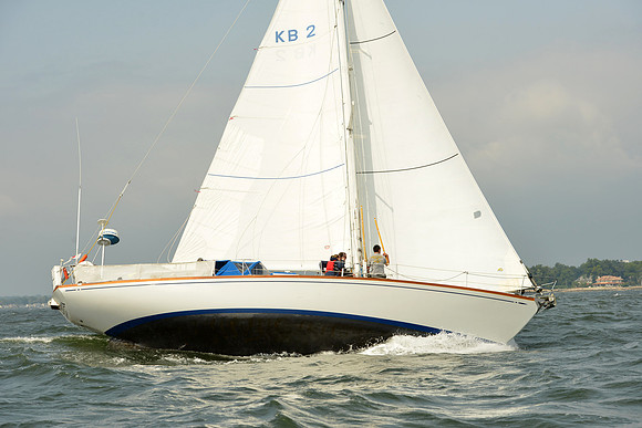 2015 Vineyard Race A 308