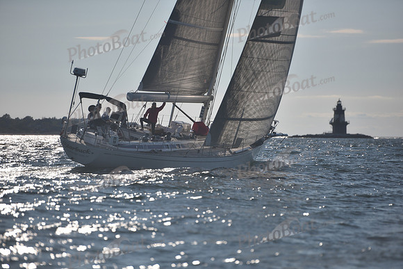 2021 Vineyard Race B 2569