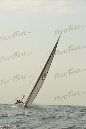 2015 Vineyard Race B 558