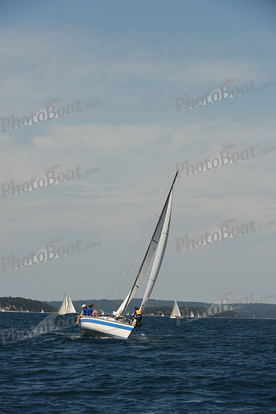 2016 Chester Race Week A_0430