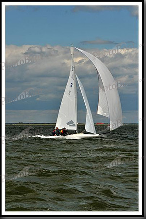 proof_2010_EScows_B 1236